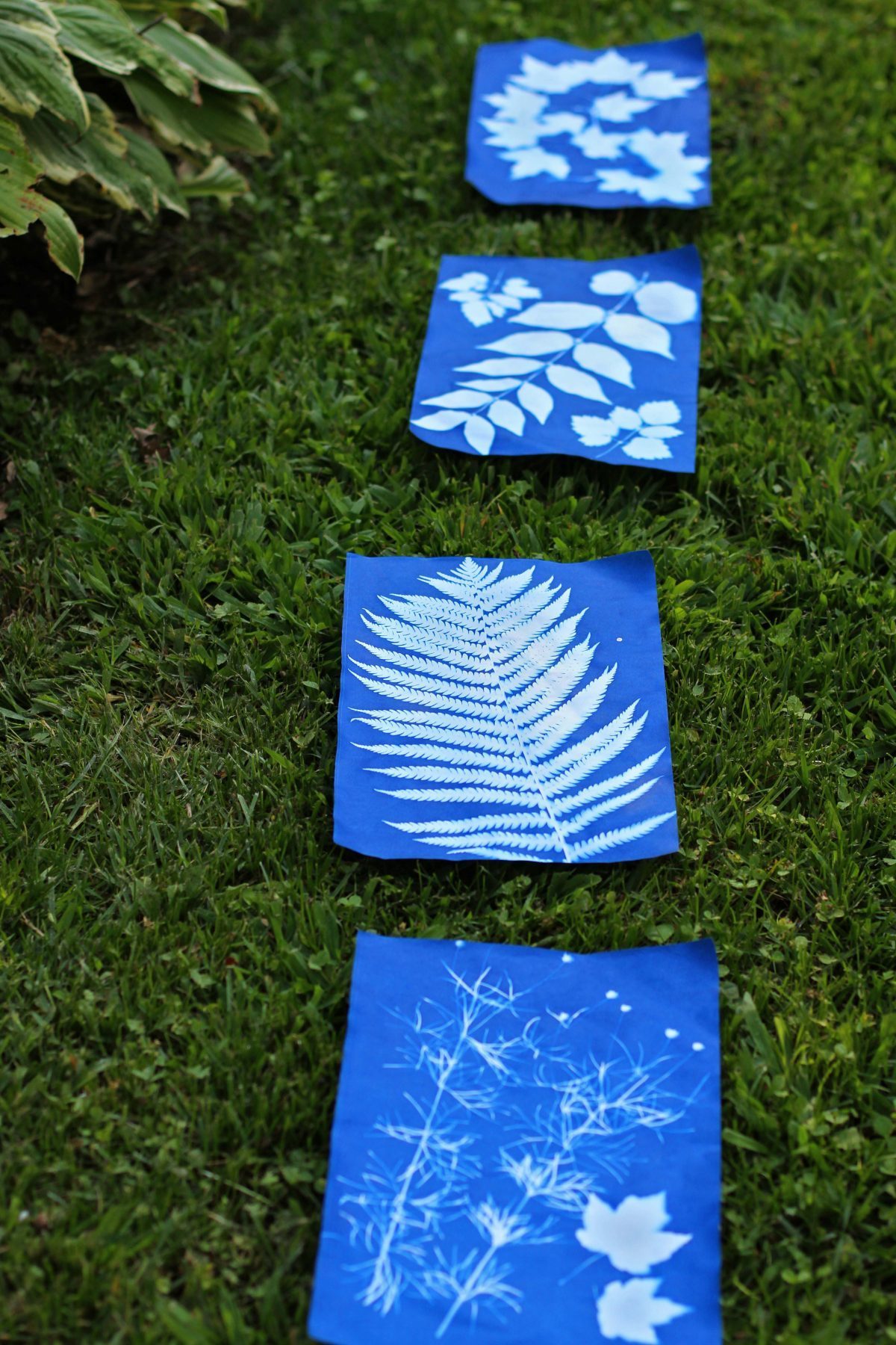 Nature Print Paper Art East Dubuque